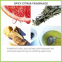 Fekkai The Original Brilliant Glossing Styling Creme - 3.4 oz — image 4