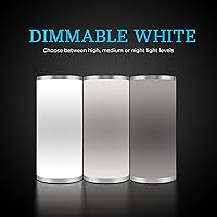 Enbrighten Color-Fusion LED Lamp — image 3