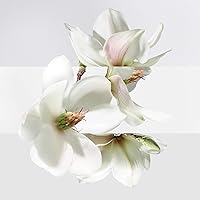 Hermès Un Jardin Sur La Lagune Eau de Toilette 3.3oz — image 4