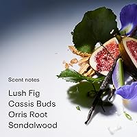 PHLUR Lost Cause Eau de Parfum 50mL — image 3