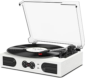 TANLANIN Vinyl Record Player TE-2030WT Review