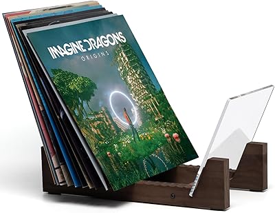 KAIU Vinyl Record Storage