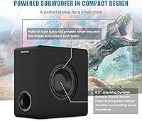 BESTISAN SW65D Powered Subwoofer — image 2