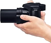 Panasonic LUMIX FZ80D 4K Point and Shoot Camera — image 14