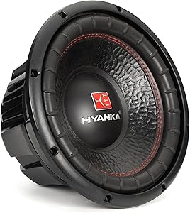 H YANKA BSC-12-2 12-Inch Subwoofer