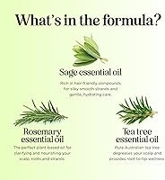 Maple Holistics Tea Tree Sage Shampoo and Conditioner Set, 8oz — image 5