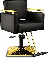 Baasha Black and Gold Salon Chair — image 1