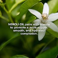 Odacité Ma+N Elasticity Serum Concentrate with Marula + Neroli, 0.17 fl. oz — image 4