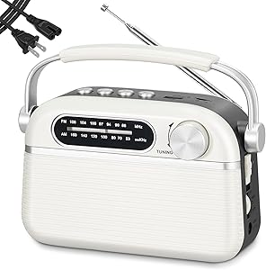 PRUNUS J-130 Portable Radio Review