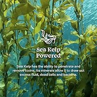 Aleavia Body Cleanse Organic Prebiotic Body Wash – 16 Oz — image 7