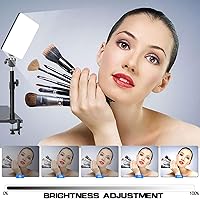 DImotliyor LED Desk Bi-Color Video Light with C-Clamp Stand — image 3