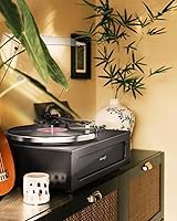 Seasonlife HQ-KZ018 Turntable — image 7