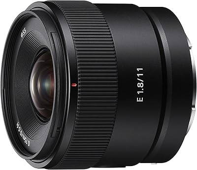 Sony E 11mm F1.8 APS-C Ultra-Wide-Angle Prime Lens