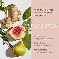 OUAI Scalp Serum 2 Fl Oz — image 6