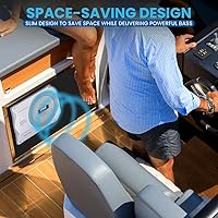 Pyle PLMRSBA10 10-Inch Amplified Subwoofer System — image 5