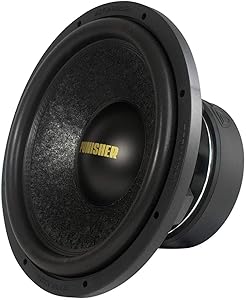 Rockville Punisher 15D2 15″ 6000W Subwoofer Review