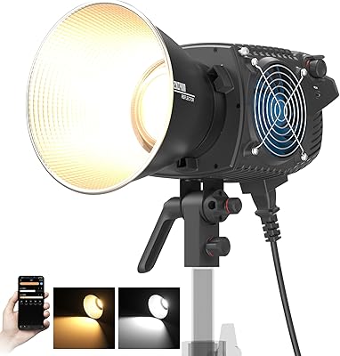 ZHIYUN MOLUS B300 300W COB LED Video Light
