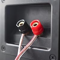 Audio Express Koe B102 Bookshelf Speakers — image 8