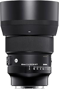 Sigma 85mm F1.4 DG DN Sony E Review
