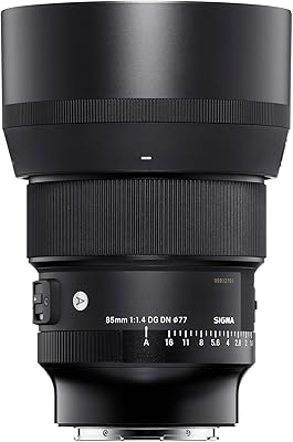 Sigma 85mm F1.4 DG DN Sony E