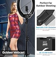 IVISII 19-inch Ring Light with Stand and Phone Holder — image 4