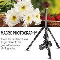 MACTREM 84″ Camera Tripod BT80 — image 7