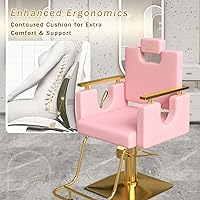 LUXMARS Heavy Duty Barber Chair, Pink — image 9