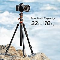K&F CONCEPT 90" Ultra High Camera Tripod T254A7+BH-28L — image 4