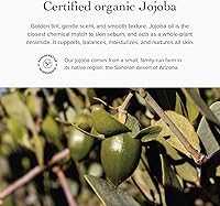 evanhealy Blemish Purifying Serum — image 7