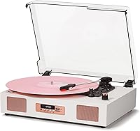 DANFI AUDIO DF TE-2017 Vinyl Record Player — image 1