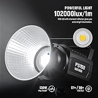 NEEWER FS150 LED Video Light — image 2