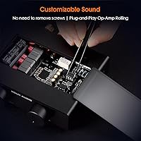 Douk Audio A5 2-Channel TPA3255 Stereo Amplifier — image 5