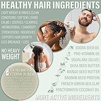 Luxiny Tea Tree Mint Shampoo and Conditioner Bar Set — image 4