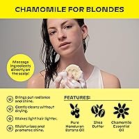 NOLE CARE Sustainable Bar Shampoo with Chamomile & Batana Oil, 3 oz — image 3