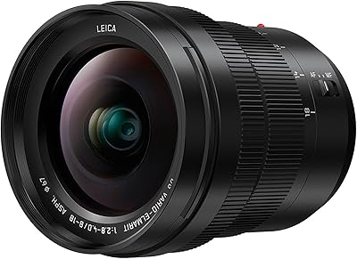 Panasonic LUMIX 8-18mm F2.8-4.0 Lens
