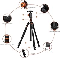 PHOPIK PT244 77″ Camera Tripod — image 7