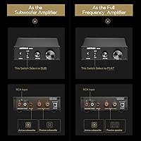 AIYIMA A3001 Mini Mono Amp 300W Subwoofer Amplifier — image 3