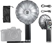 Godox Lux Master Retro TTL HSS Camera Flash — image 1