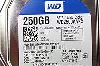 WD Blue 250GB 3.5-inch Desktop Hard Drive — image 6
