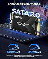 ORICO Y20M-2242 256GB M.2 SATA SSD — image 3