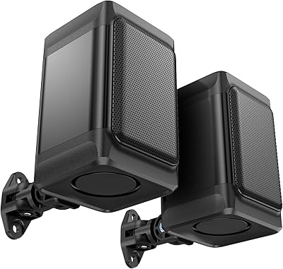 Saiyin Outdoor Speakers OS5310