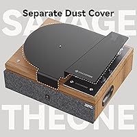 Stack Stone Savage The One Turntable — image 7