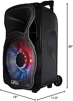 beFree Sound BFS-12 Portable Bluetooth PA Speaker — image 8