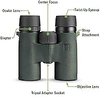 Vortex Optics Bantam HD 6.5x32 Youth Binoculars — image 5