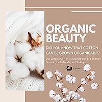 Eco Bath London Natural Toweling Slippers - Organic Cotton, Size S (6-7 Women/5-6 Men) — image 5