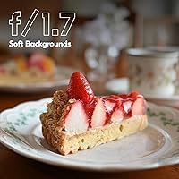 Nikon NIKKOR Z DX 24mm f/1.7 — image 2