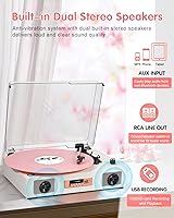 DANFI AUDIO DF TE-2017 Vinyl Record Player — image 3