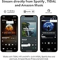 WiiM Pro Plus AirPlay 2 Receiver — image 7