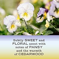 MRS. MEYER'S CLEAN DAY Hand Soap, Compassion Flower, 12.5oz — image 4