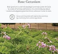 evanhealy Rose Geranium HydroSoul 4oz — image 5